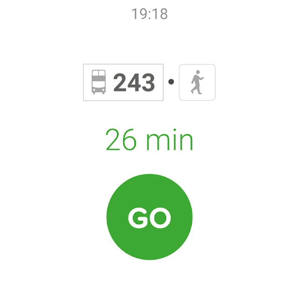 Citymapper wearable trip summary showing bus 243, duration and GO button