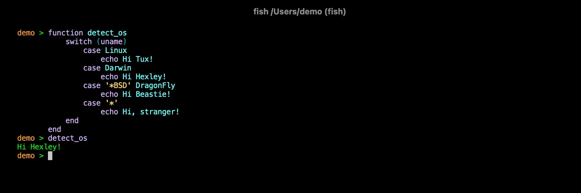 Fish shell syntax-highlighted function definition and command output