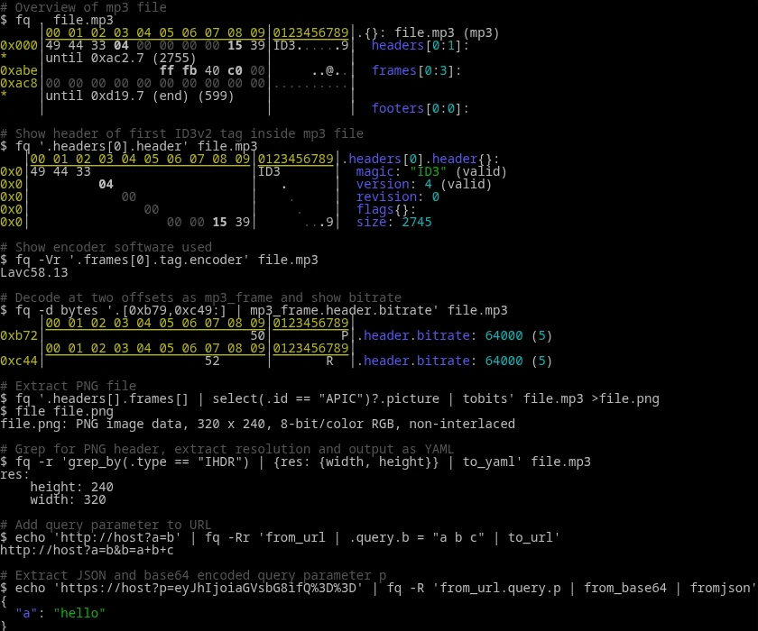 fq binary inspection and queries