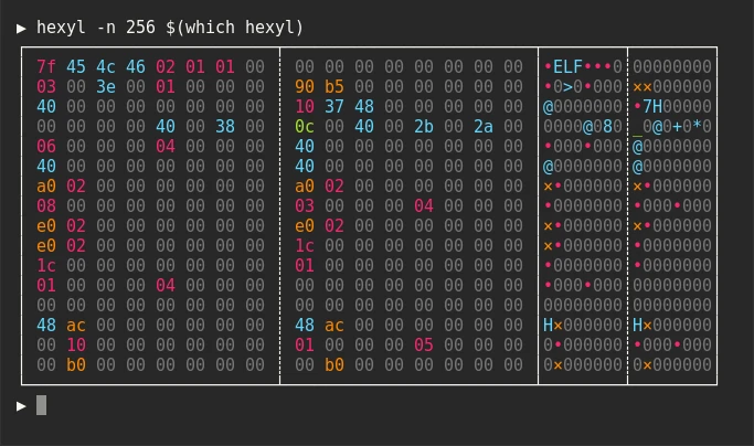 hexyl executable inspection