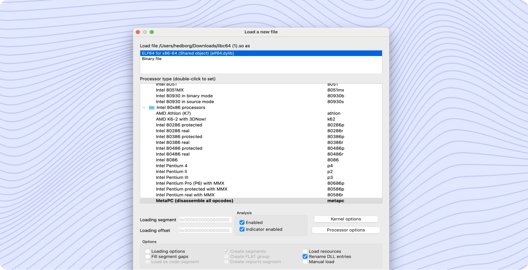 IDA Pro load-a-new-file dialog with processor choices and analysis options