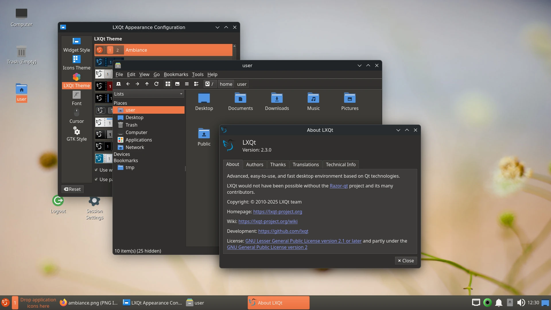 LXQt desktop showing file manager and desktop version information