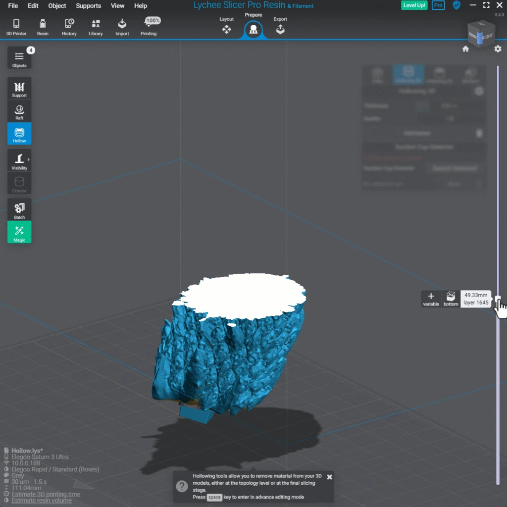 Lychee Slicer 3D hollowing workspace showing a solid cross-section of a tree-stump model