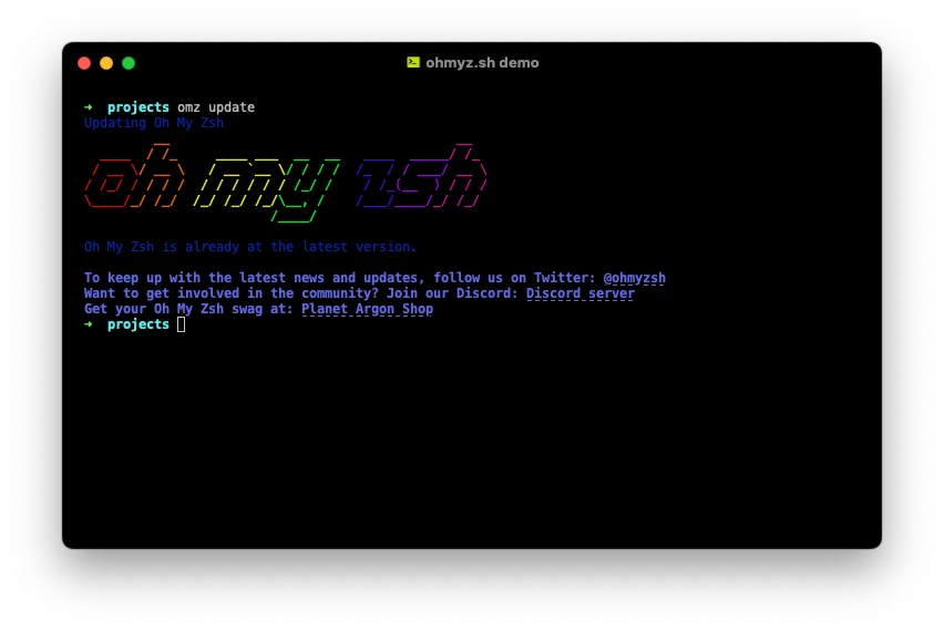 Oh My Zsh terminal update interface