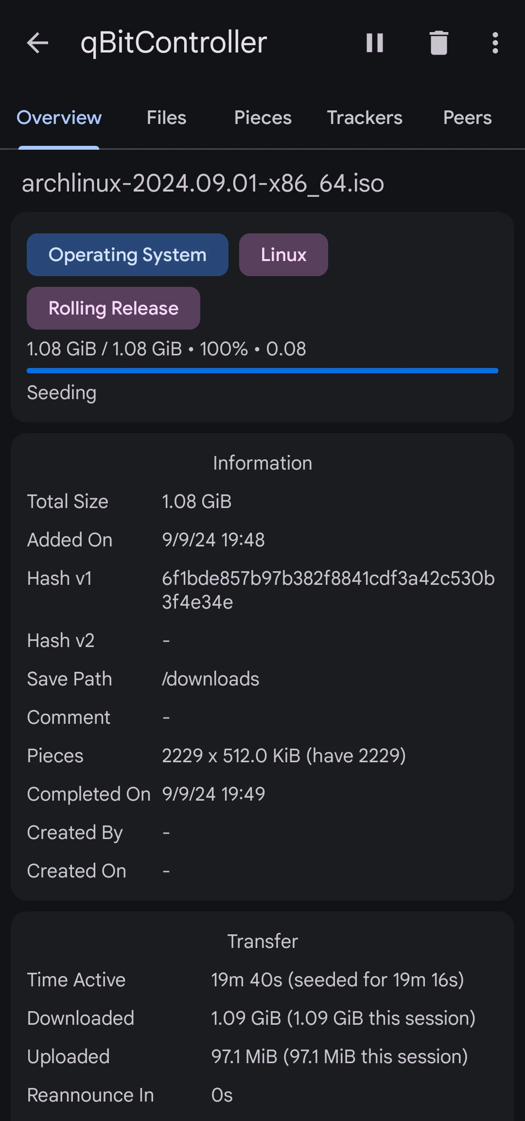 qBitController torrent details